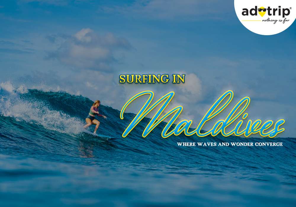 Surfing In Maldives | Where Waves And Wonder Converge